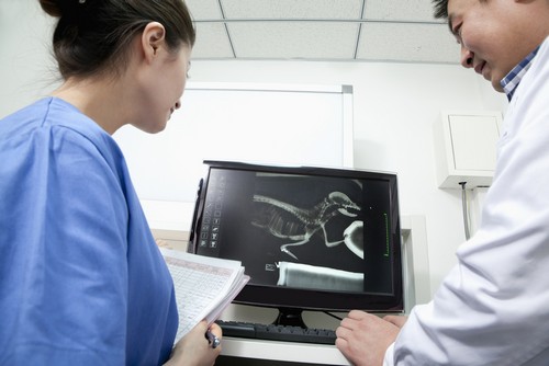 Advanced Digital X-rays Tumwater, WA