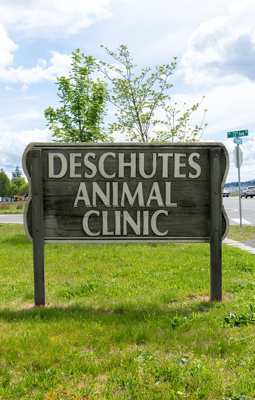 small animal services Tumwater, WA
