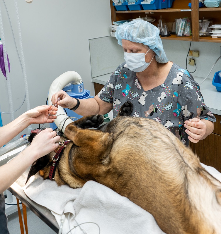Surgery Tumwater, WA