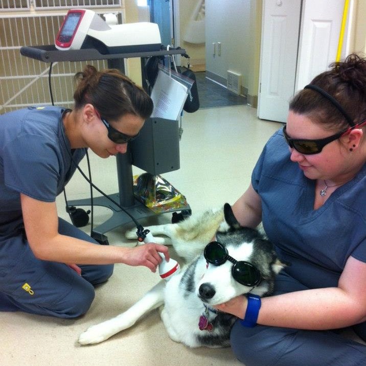 Cold Laser Therapy