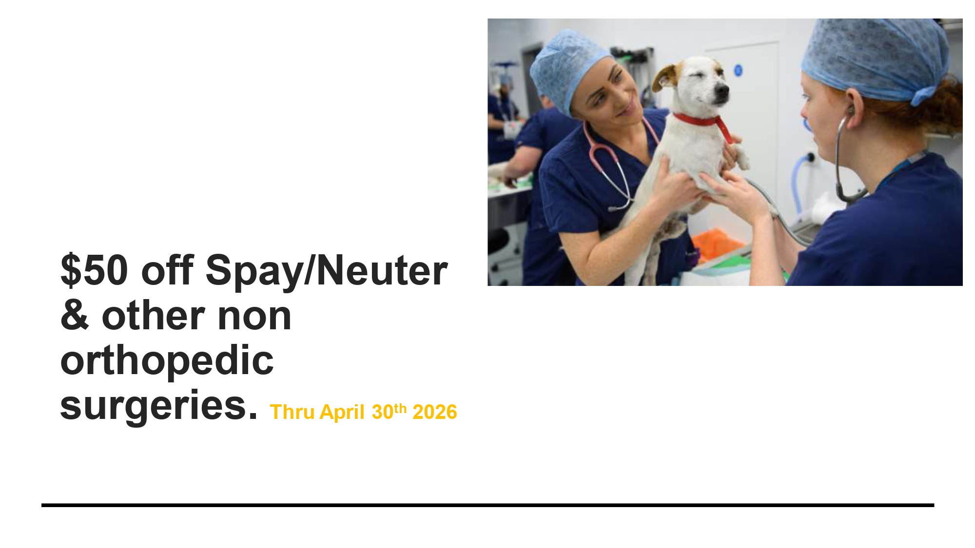 Spring Surgery Savings