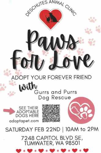 Paws for Love